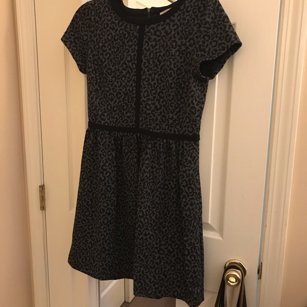 Loft dress